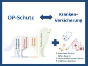 hundekastrationsversicherung